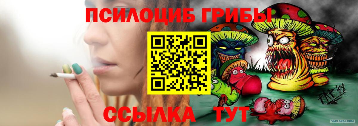 Галлюциногенные грибы MAGIC MUSHROOMS Краснознаменск